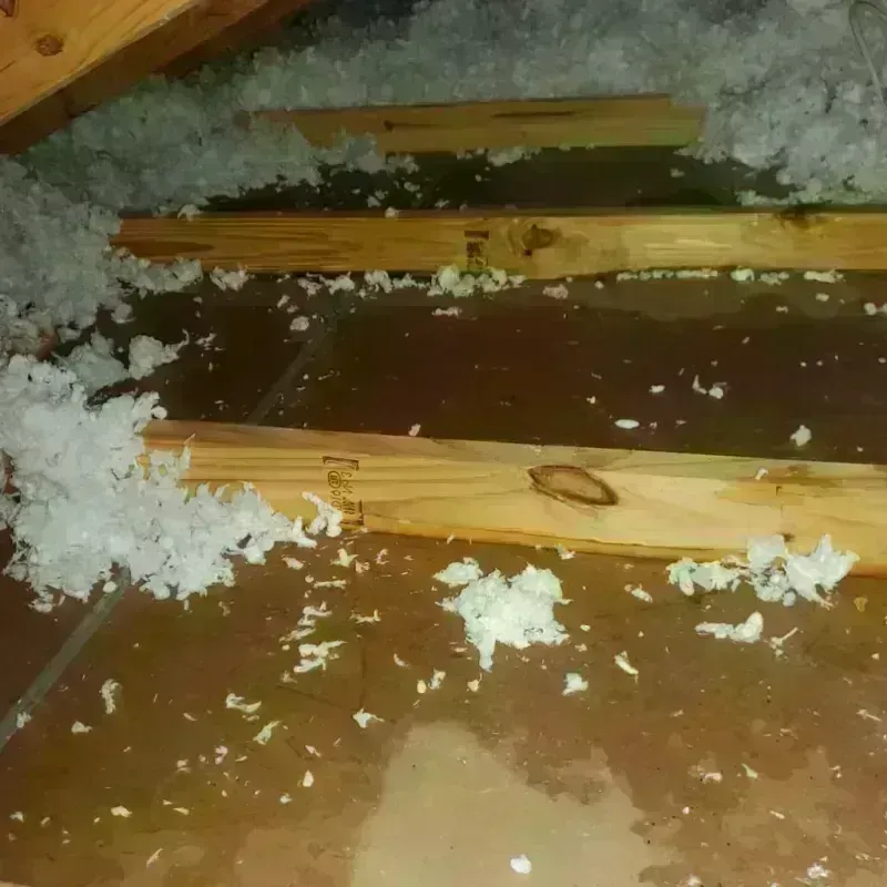 Attic Water Damage in Big Stone County, MN